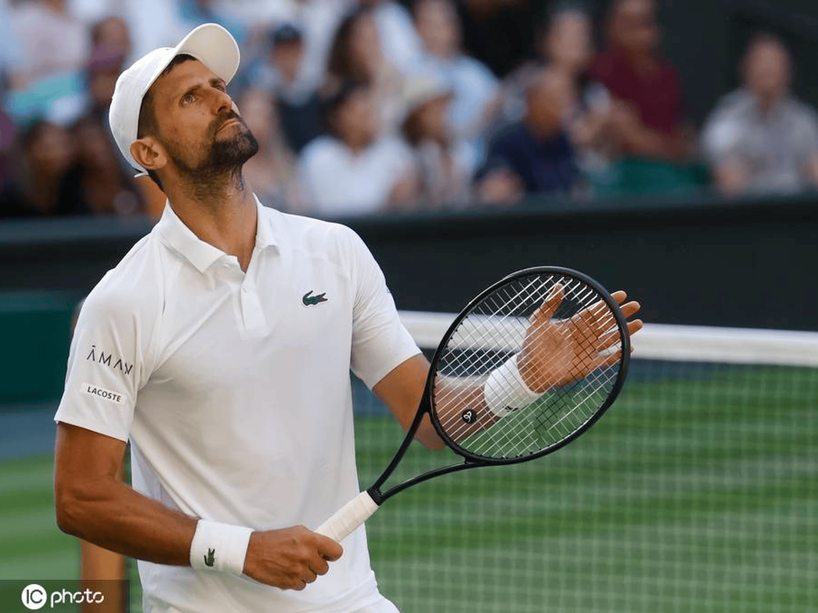 JJB-德约科维奇连续十五场比赛得分超过逆转,雄鹿挑战极限!的简单介绍